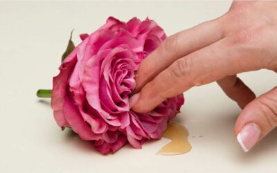 Menopausa é sinônimo de dor na relação sexual? Não precisa ser!