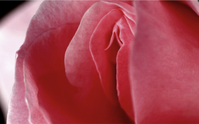 Estética vaginal: tratamentos para a região íntima
