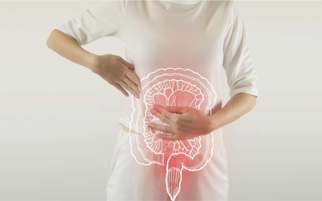 Mudanças intestinais no climatério e na menopausa?