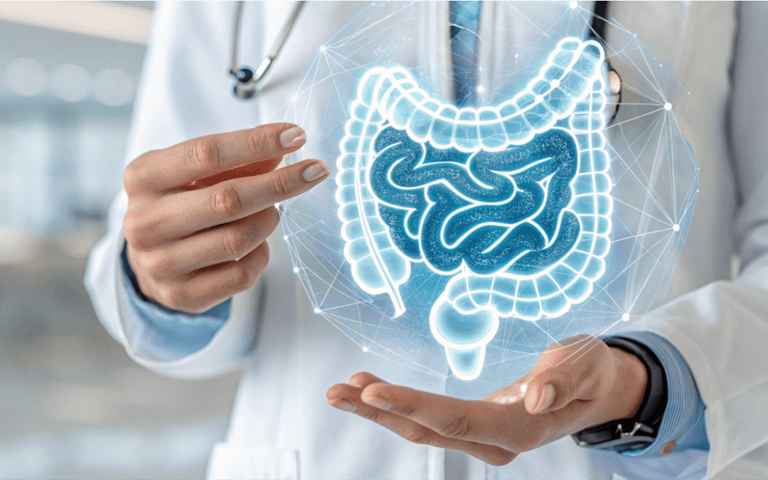 A menopausa afeta o intestino - dra Natacha Machado - ginecologista Joinville