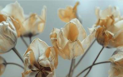 É possível viver sem hormônios?