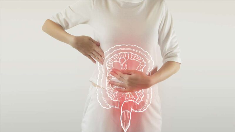 Mudanças intestinas na menopausa - Dra Natacha Machado - ginecologista Joinville